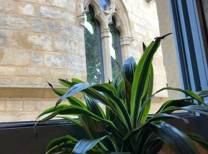 Prázdninový dům Maison De Charme Dans La Cite